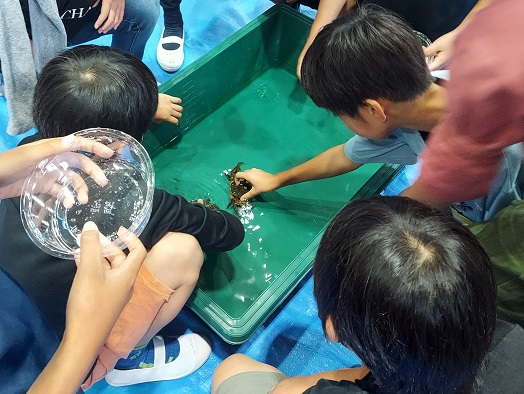 生き物に触れる生体展示