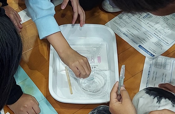 パックテストで水質調査体験