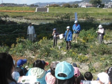 植物観察会の様子