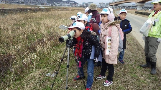 野鳥観察会の様子