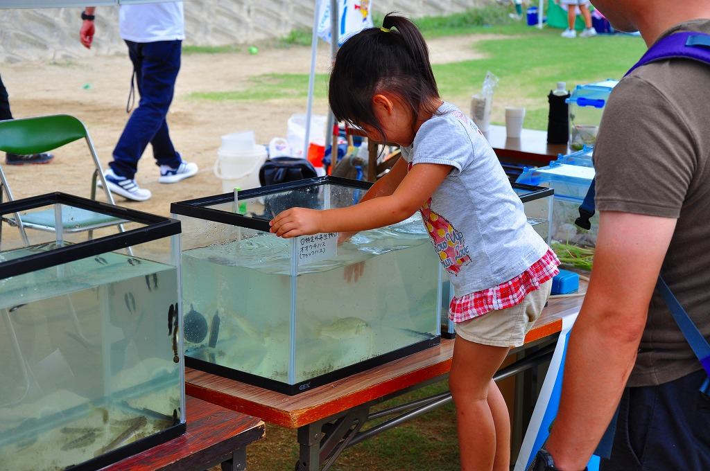 魚さわれるかな？