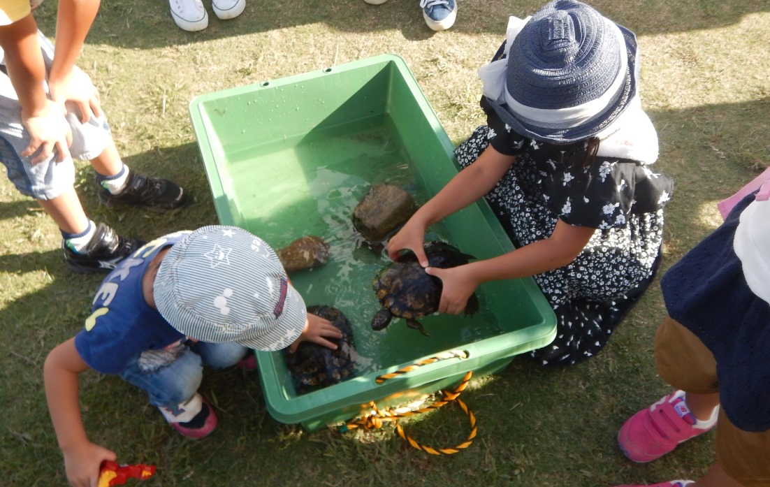 \カメを触ってご満悦！"