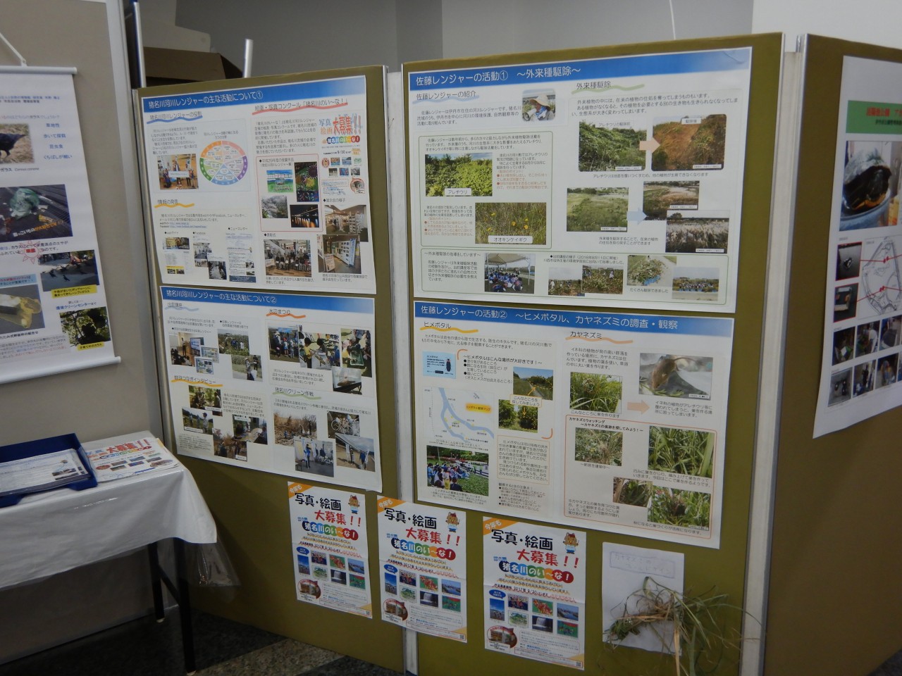 ポスターの展示