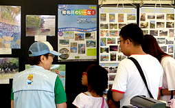 入賞作品・応募作品パネルの展示