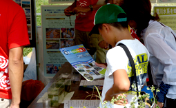 第２弾募集チラシの配布