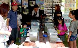 水生生物（魚類等）の展示