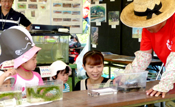水生生物（タニシなど）の展示