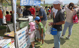 水生生物（魚類等）とパネル展示