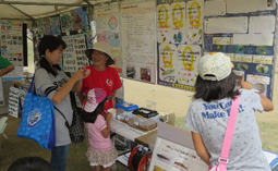 クイズ形式でホタルを紹介するパネル展示