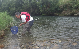ウナギが捕れました！