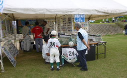子どもたちが熱心に猪名川で捕れた魚を観察しています