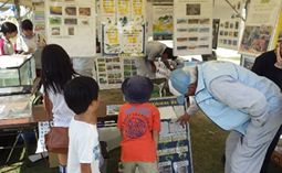 ホタルのクイズに興味津々